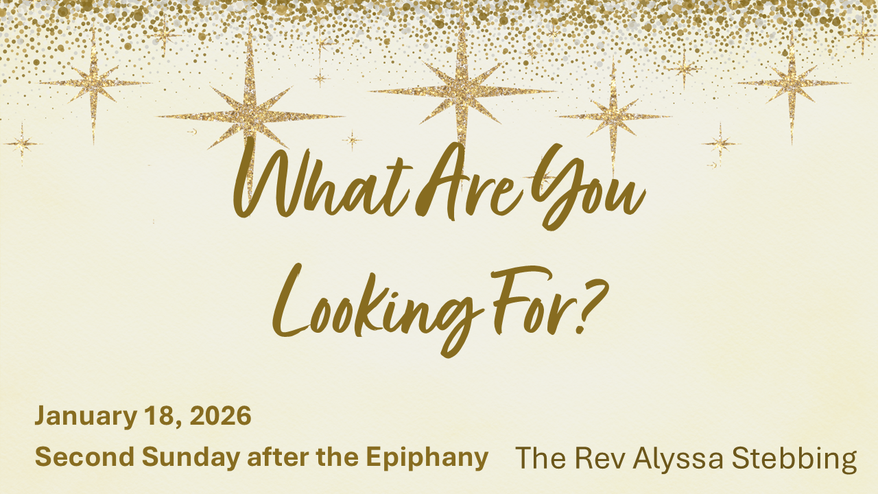 What are You Looking For, January 18, 2026 - The Rev Alyssa Stebbing